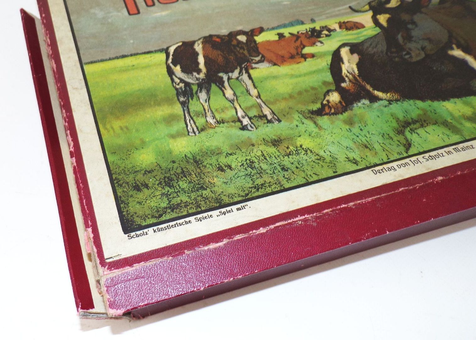 Tier Bilder Lotto Verlag Jos Scholz Mainz No 5119 Legespiel Puzzle