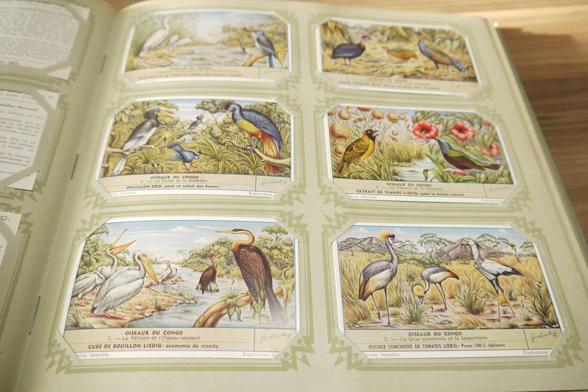 Liebig Sammelbilder Album ca 49 Seiten 294 Karten Sammelalbum