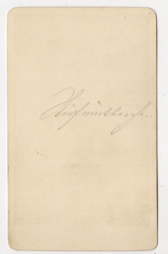 CDV Foto Stiefmütterchen Blume Botanik Pflanze um 1880 koloriert CDV Foto Stiefmütterchen Blume Botanik Pflanze um 1880 koloriert