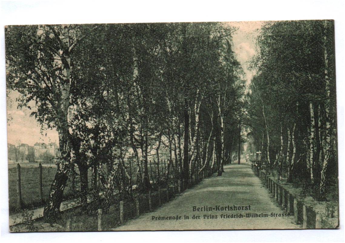 Ak Berlin Karlshorst Promenade in der Prinz Friedrich Wilhelm Strasse 1916