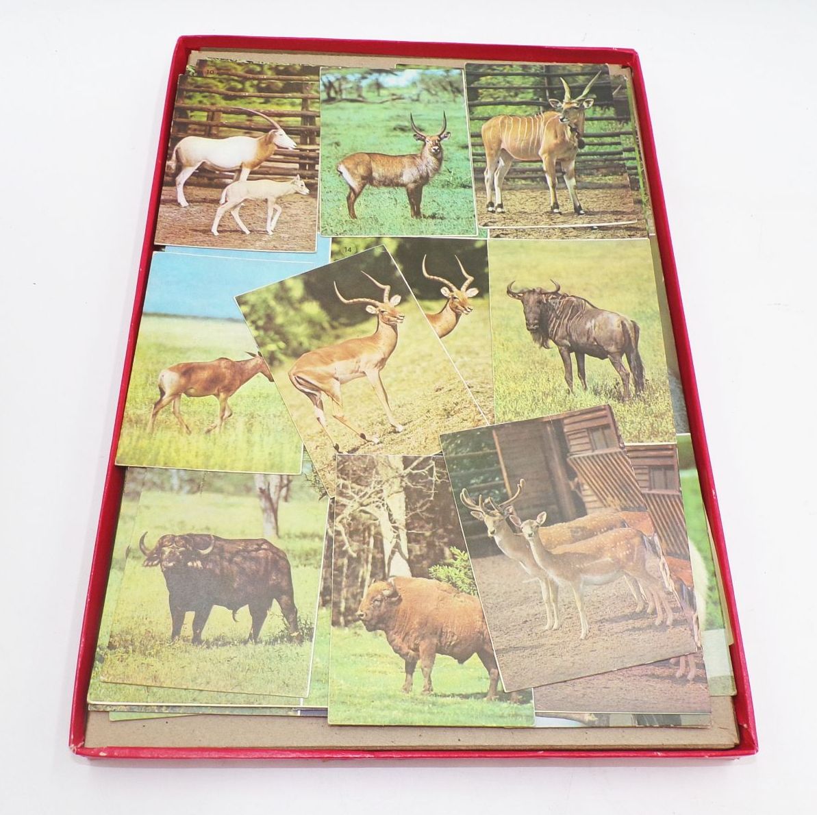 DDR Spiele Tierpark Lotto Elektrischer Wissenstest Stempelspiel Figurenlegespiel DDR Spiele Tierpark Lotto Elektrischer Wissenstest Stempelspiel Figurenlegespiel