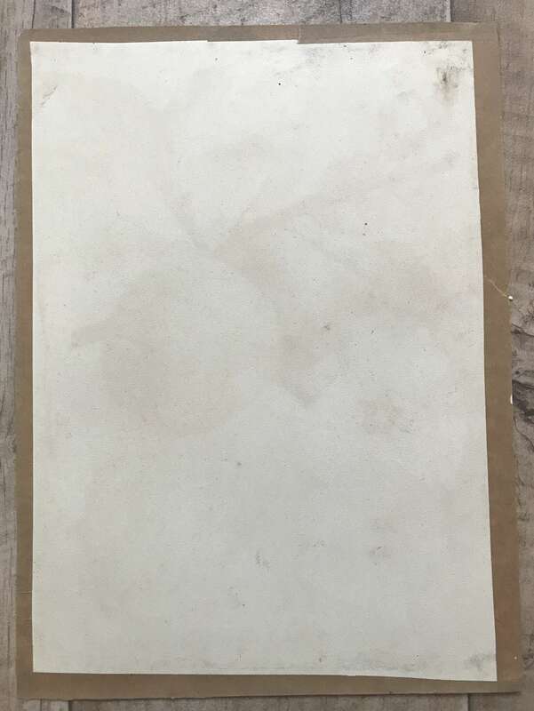 Druck Beilage Ananas Renette um 1900 Pomologie