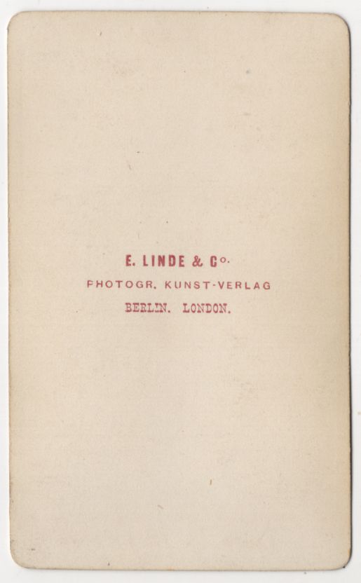CdV Foto Moschus Malve Botanik um 1880 koloriert Blume Linde u Co Berlin 