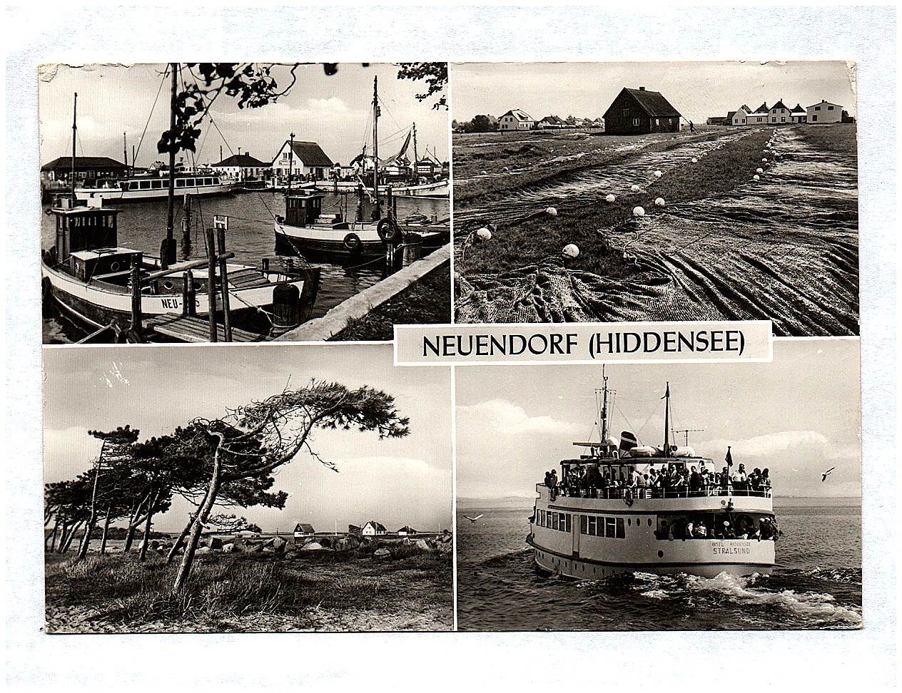 Ak Neuendorf Hiddensee DDR 1982 Ak Neuendorf Hiddensee DDR 1982
