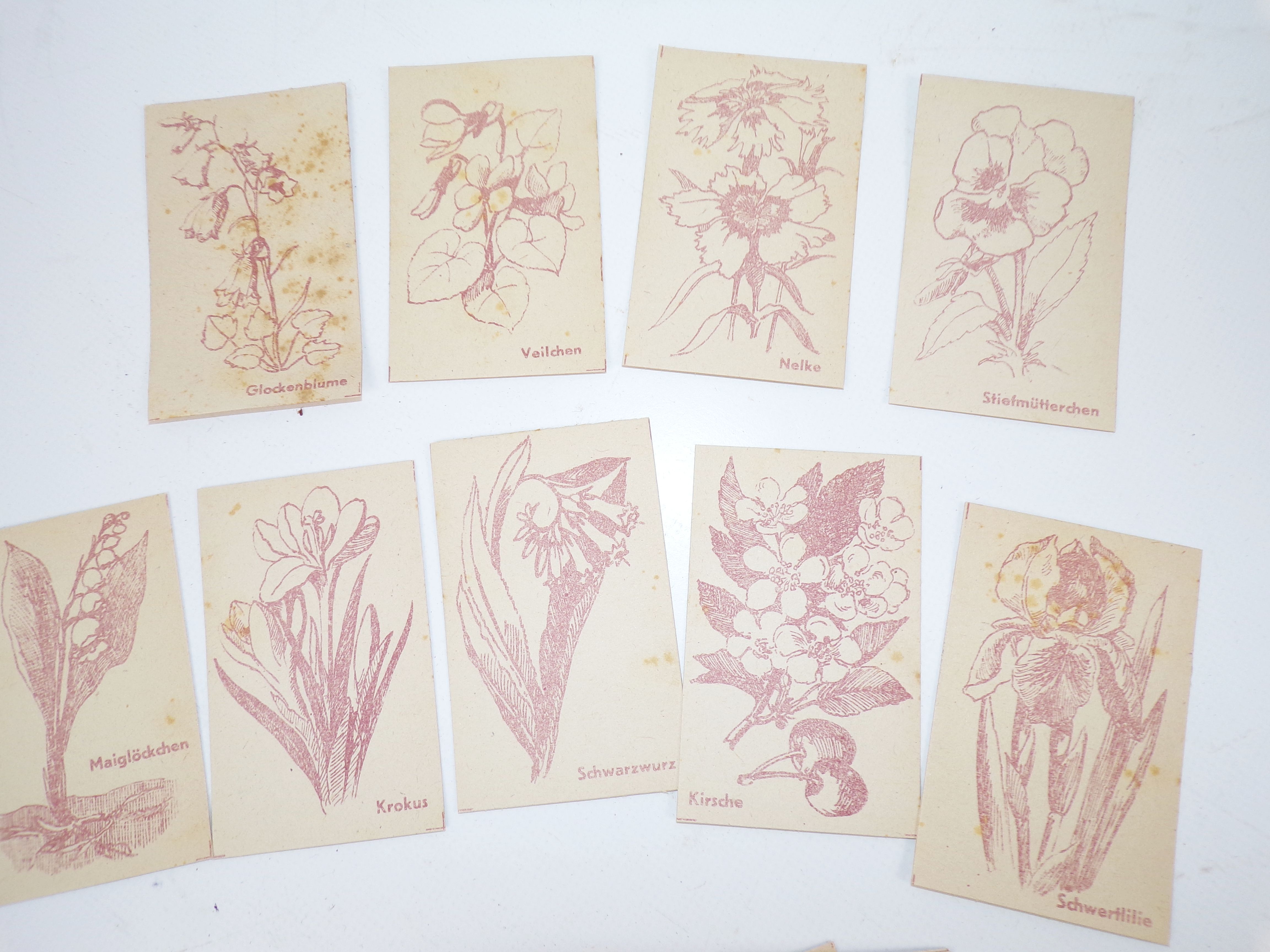 Der kleine Malkünstler 25 Karten zum Ausmalen 1947 Blumen 