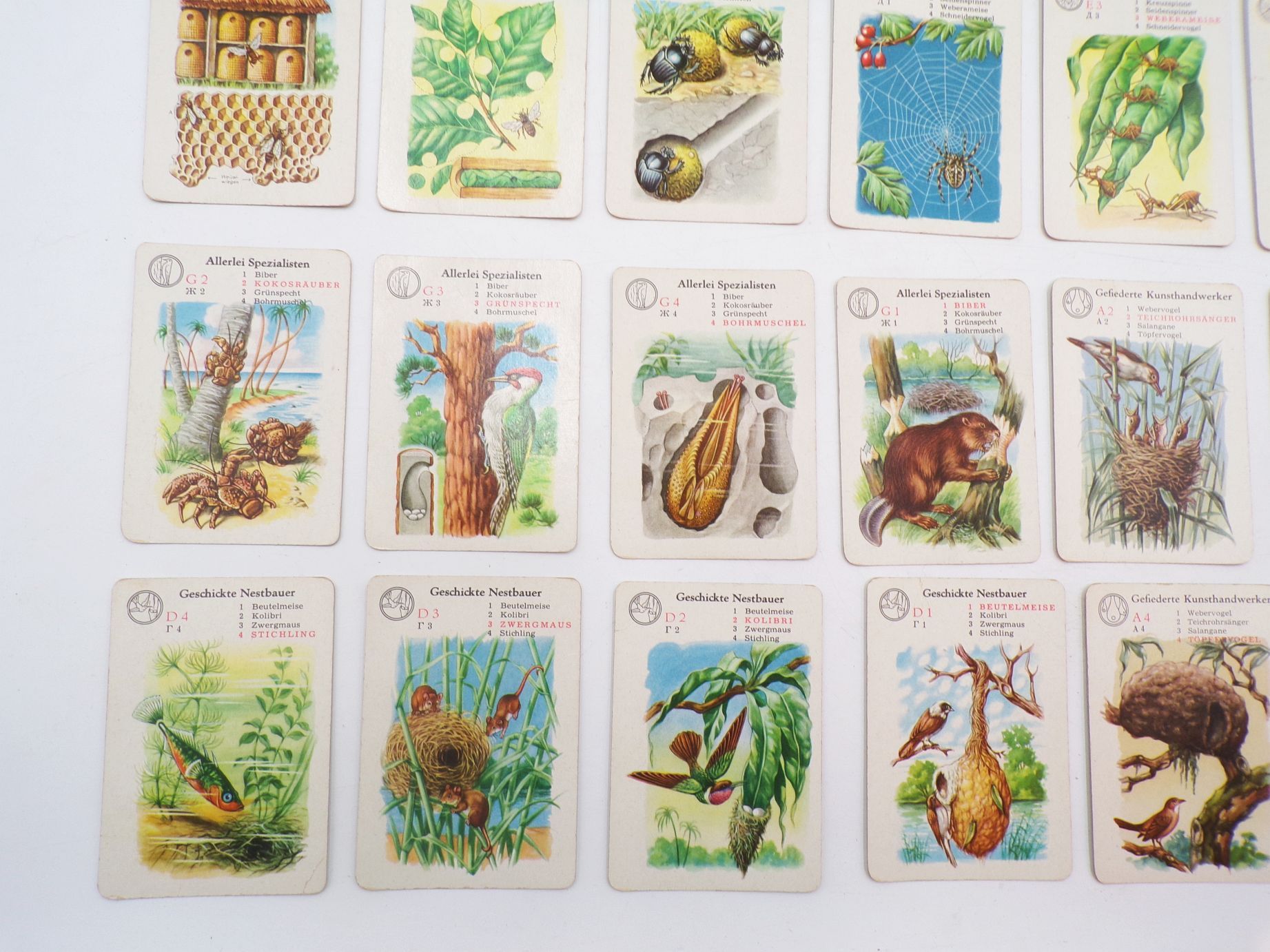 Altes Kartenspiel Künstler der Tierwelt Ein Lehrspiel Forkel Pößneck 1960 Altes Kartenspiel Künstler der Tierwelt Ein Lehrspiel Forkel Pößneck 1960