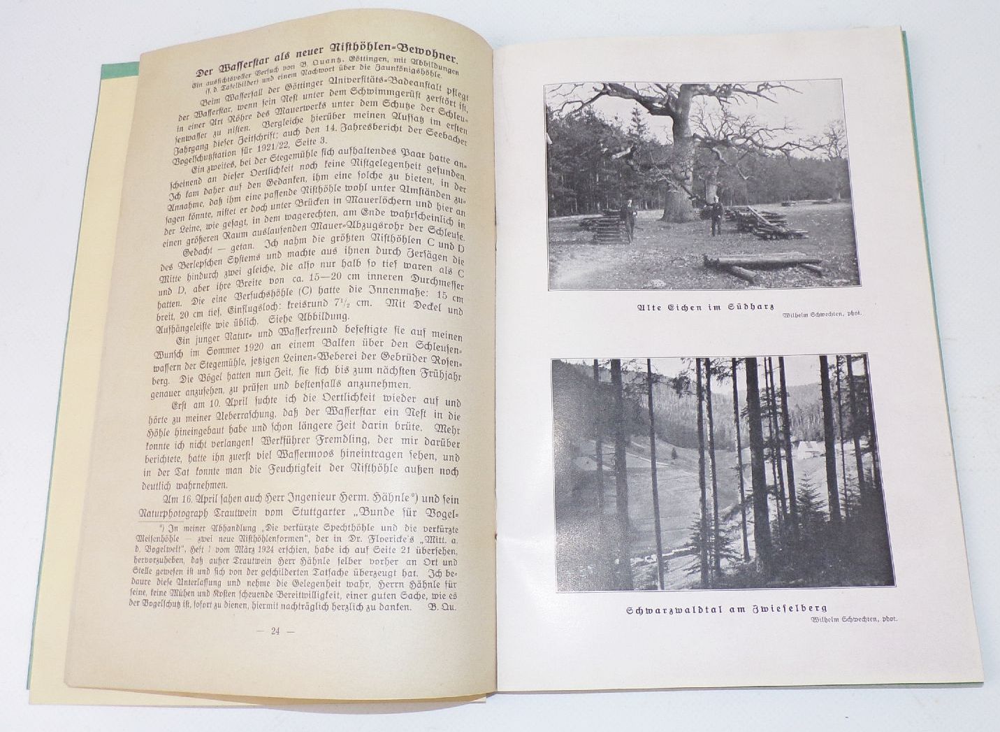 Naturschutz Zeitschrift 1925 Halbjahr Tiere Natur Umwelt 