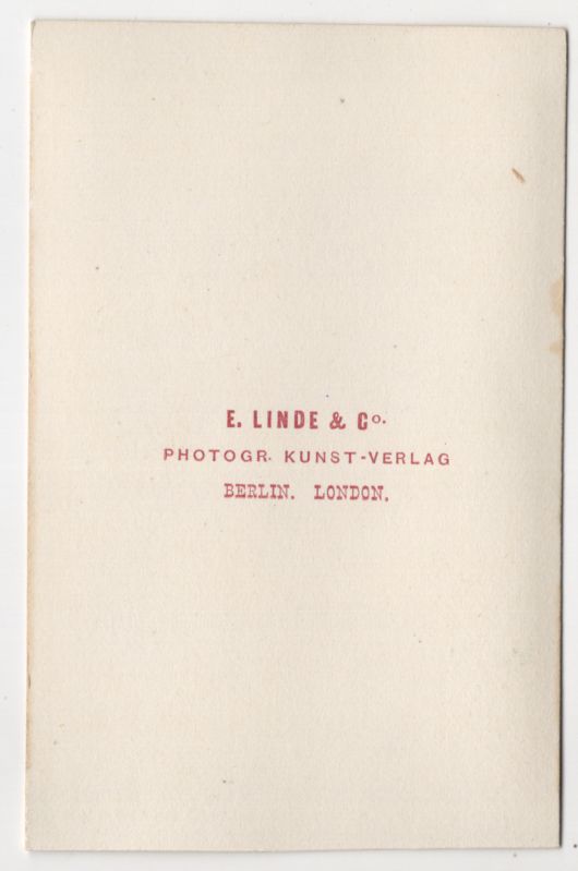 Altes CDV Foto virginischer Schneeflocken Blumen Pflanze Botanik 1880er Amerika