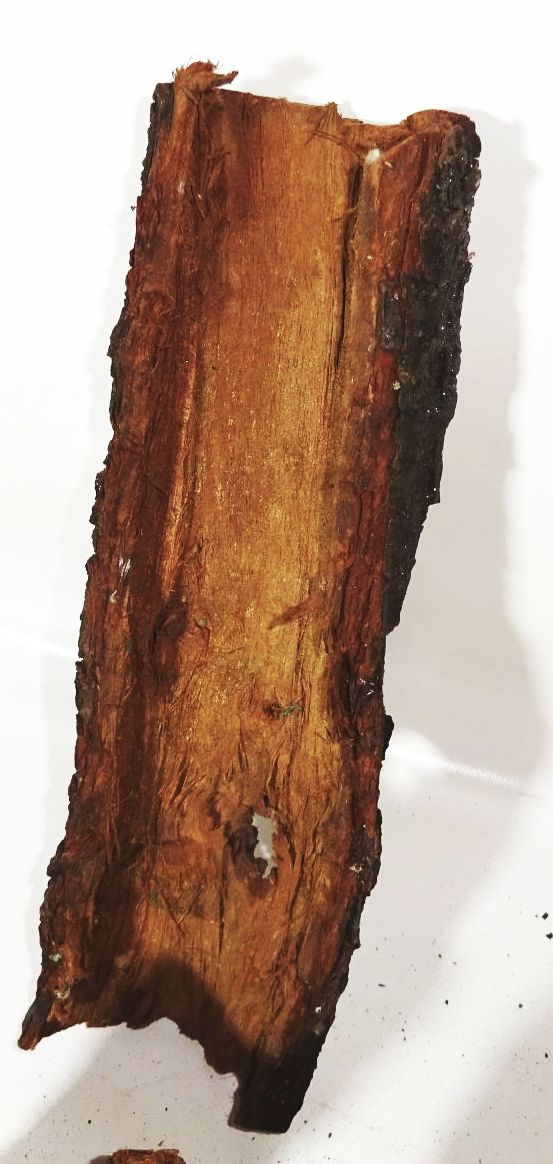 Uralt Krippe wohl Böhmen 1850 bis 1900 Holz Glitzer Weihnachtskrippe