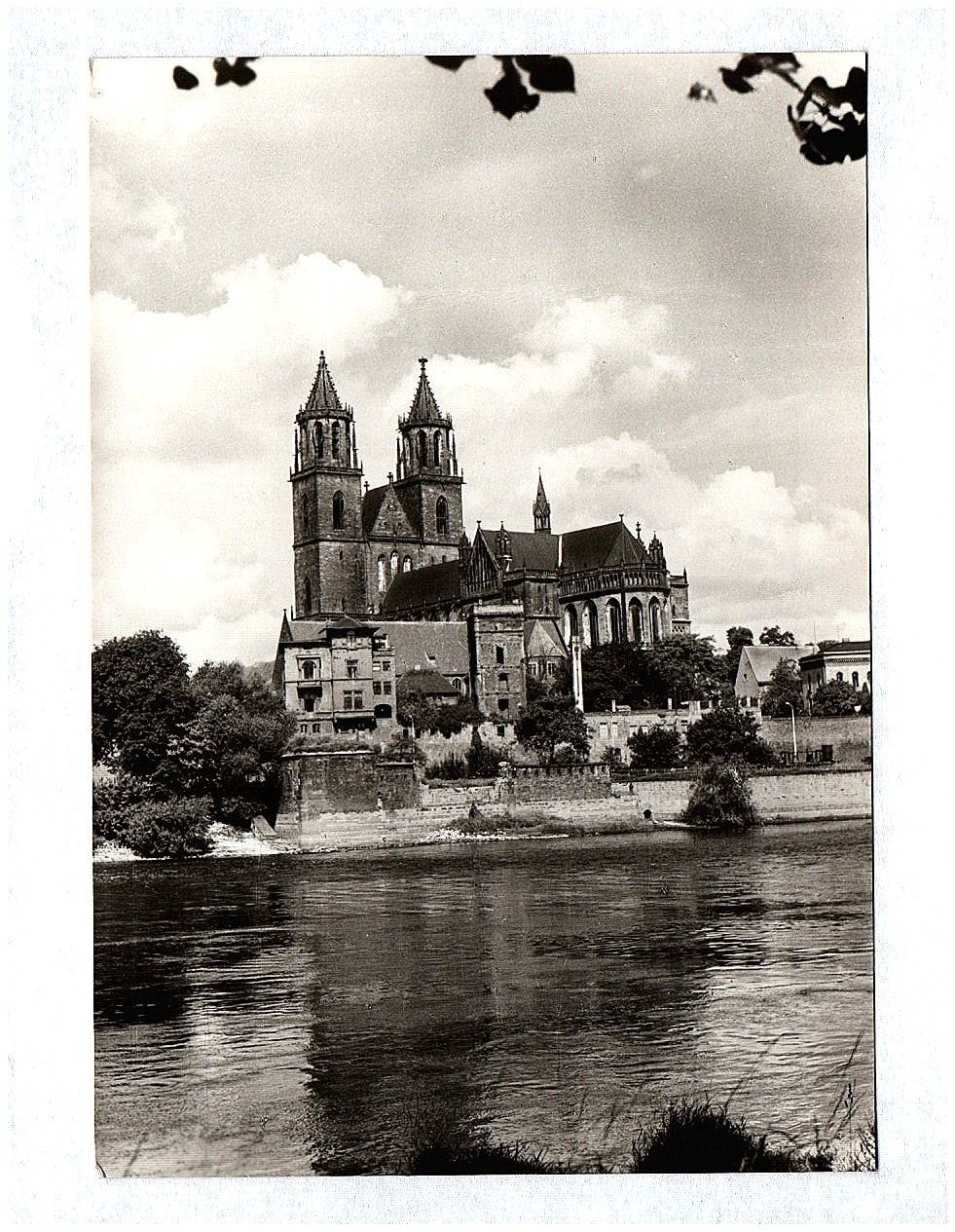 Ak Dom Magdeburg DDR Echtfoto Ak Dom Magdeburg DDR Echtfoto