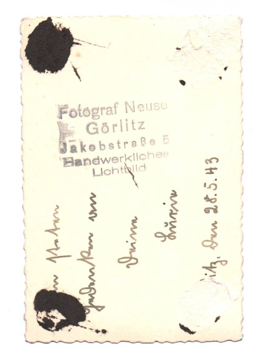 Portrait Foto weiblicher RAD Brosche Parteiabzeichen 1943 Görlitz Portrait Foto weiblicher RAD Brosche Parteiabzeichen 1943 Görlitz