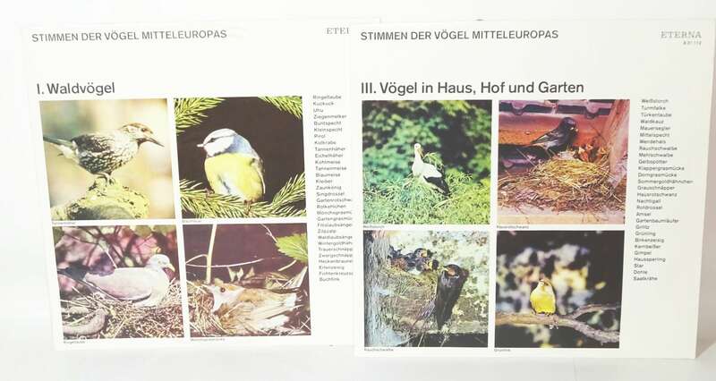 Stimmen der Vögel Mitteleuropas I Waldvögel III Vögel in Haus Hof Garten