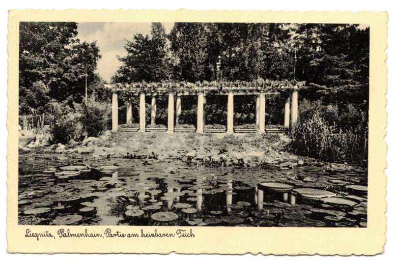 Ak Liegnitz Palmenhain Partie am heizbaren Teich 1936 Schlesien