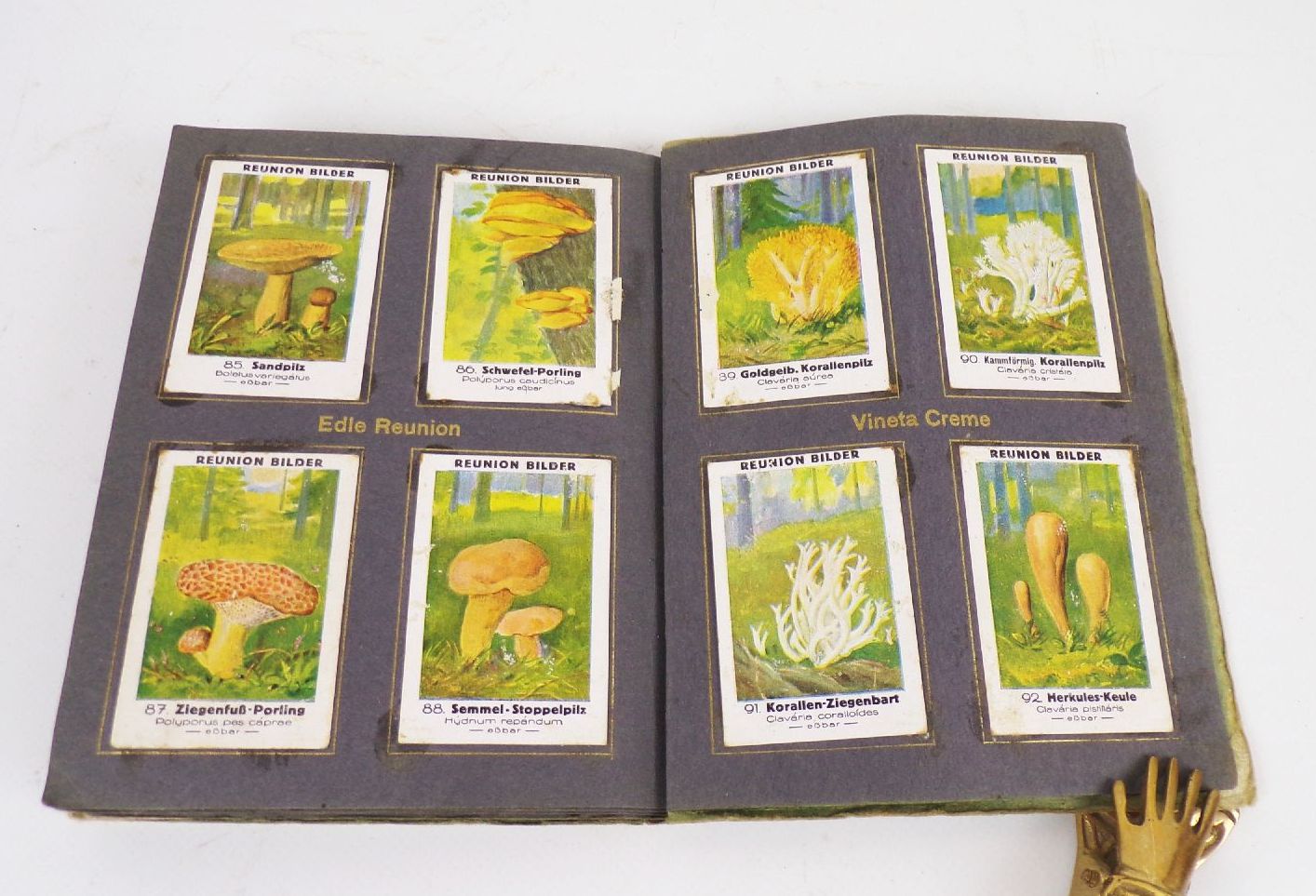 Einheimische Pilze Reunion Sammelbilderalbum Obercunnersdorf 