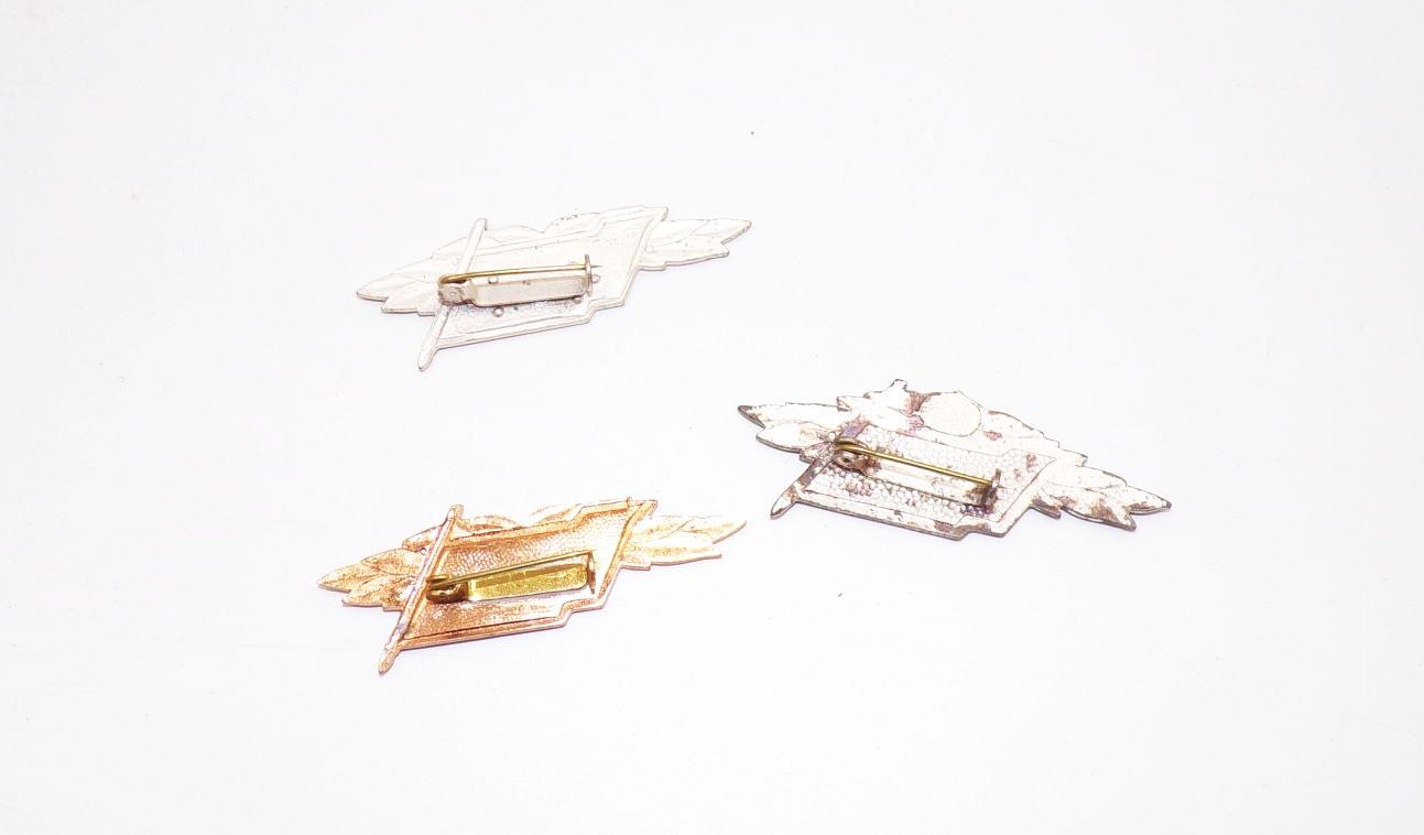 Besten Abzeichen Kampfgruppe Silber Bronze mit Urkunden