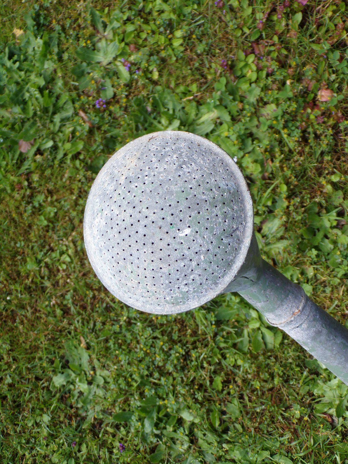 Alte Gießkanne Zinkgießkanne 10 Liter Garten Gartengießkanne Deko