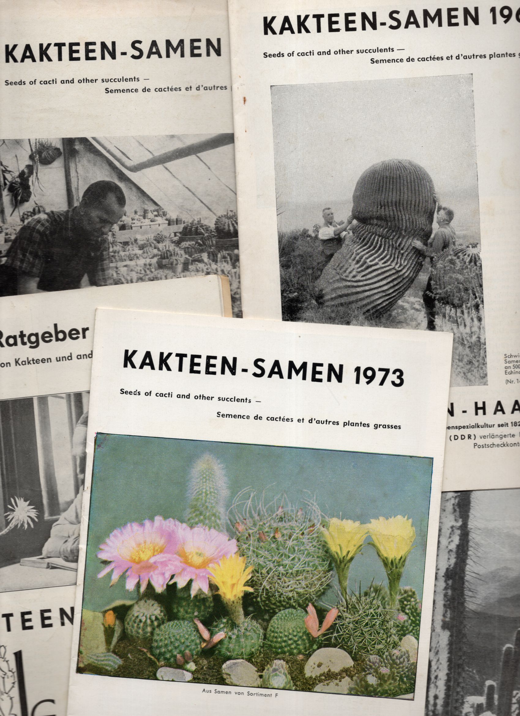 Alte Preislisten Kakteen Samen 1968 bis 1973 Kaktus Katalog
