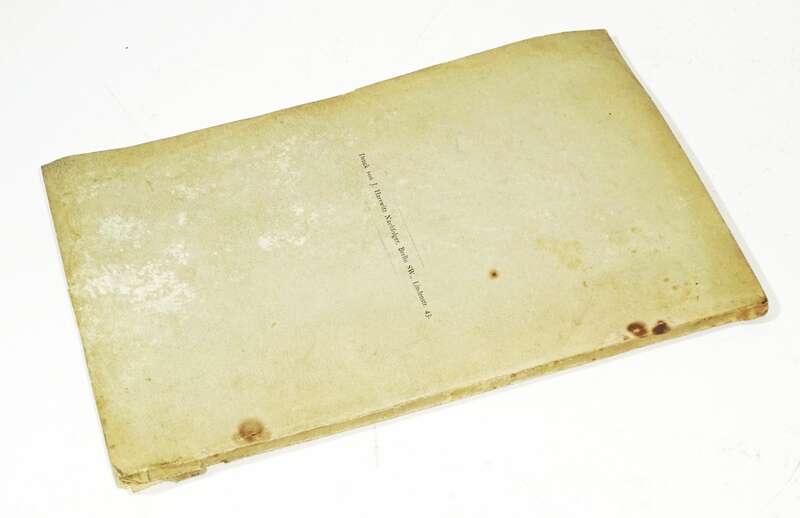 Hobelbank Arbeiten für Knaben und Erwachsene 1889 Müller Füllgraf