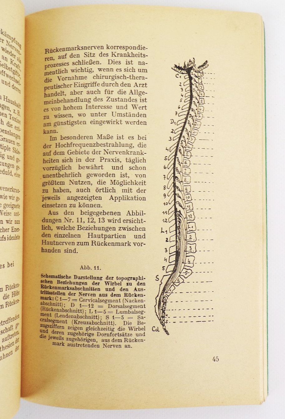 Der Hochfrequenz Strahlapparat Sein Wesen und seine Anwendung Buch Der Hochfrequenz Strahlapparat Sein Wesen und seine Anwendung Buch