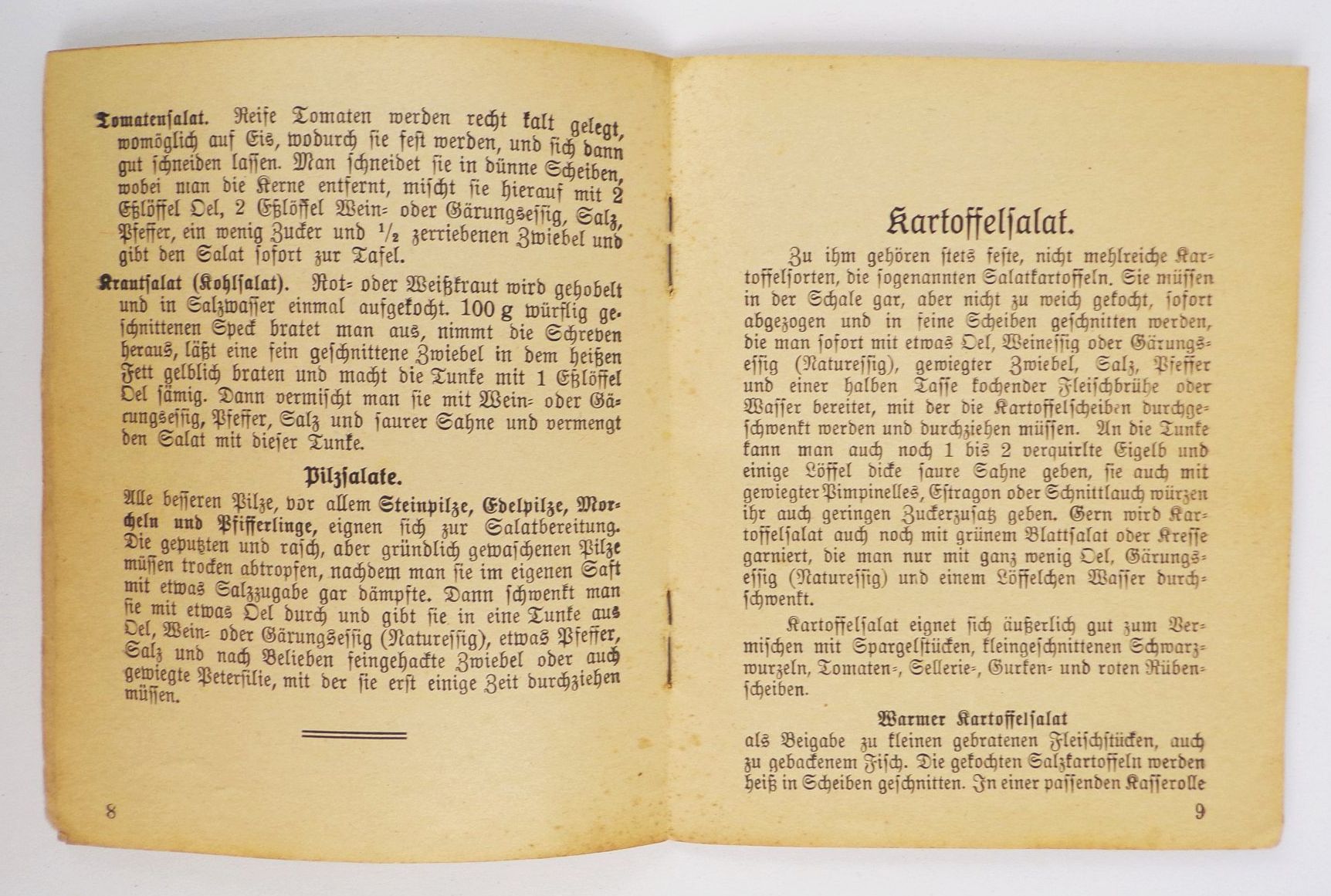 Salate die tägliche Arznei Altes Werbeheft Braeuer und Zander Görlitz 