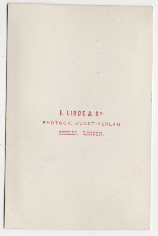 CdV Foto dunkelrote Prachtwicke Neuseeland um 1880 koloriert Linde u Co Berlin
