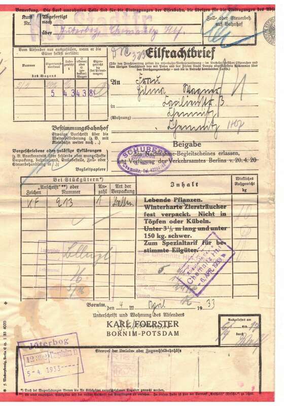 Reichsbahn Frachtbrief Foerster Bornum Potsdam Chemnitz 1933 Pflanzen 