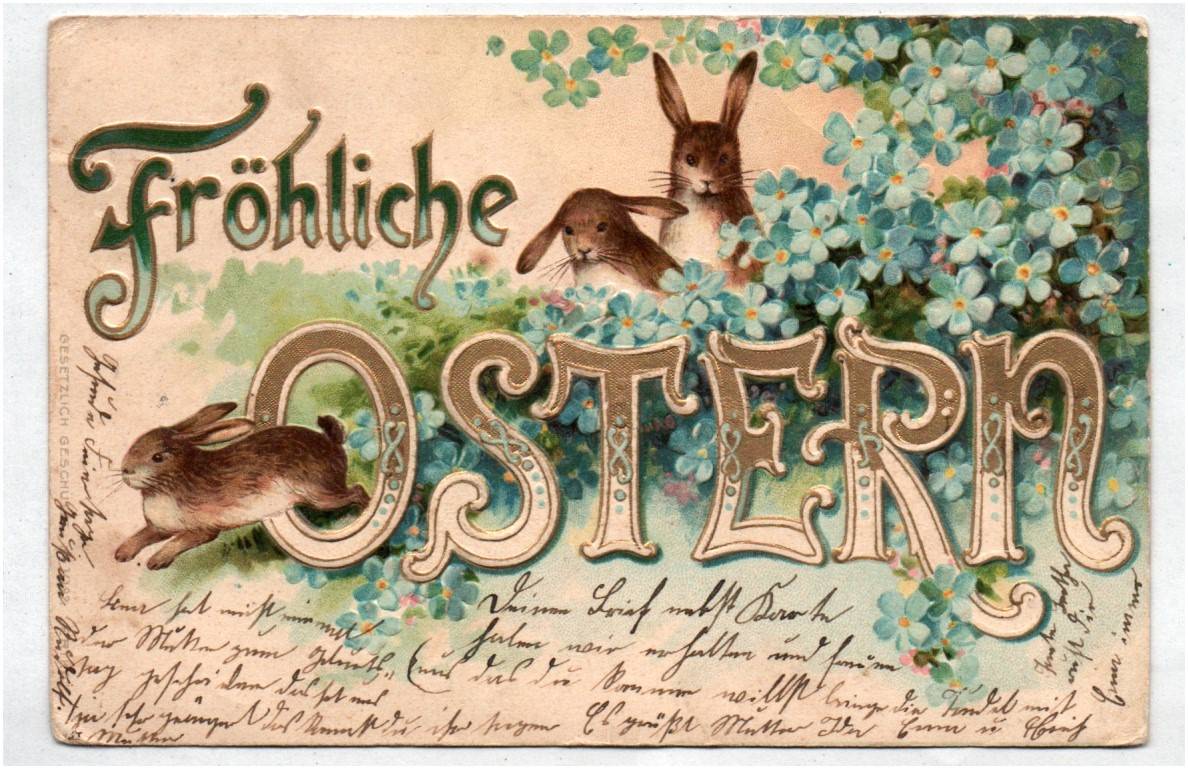 Litho Ak Hasen mit Vergissmeinnicht Blumen 1902 Ostern
