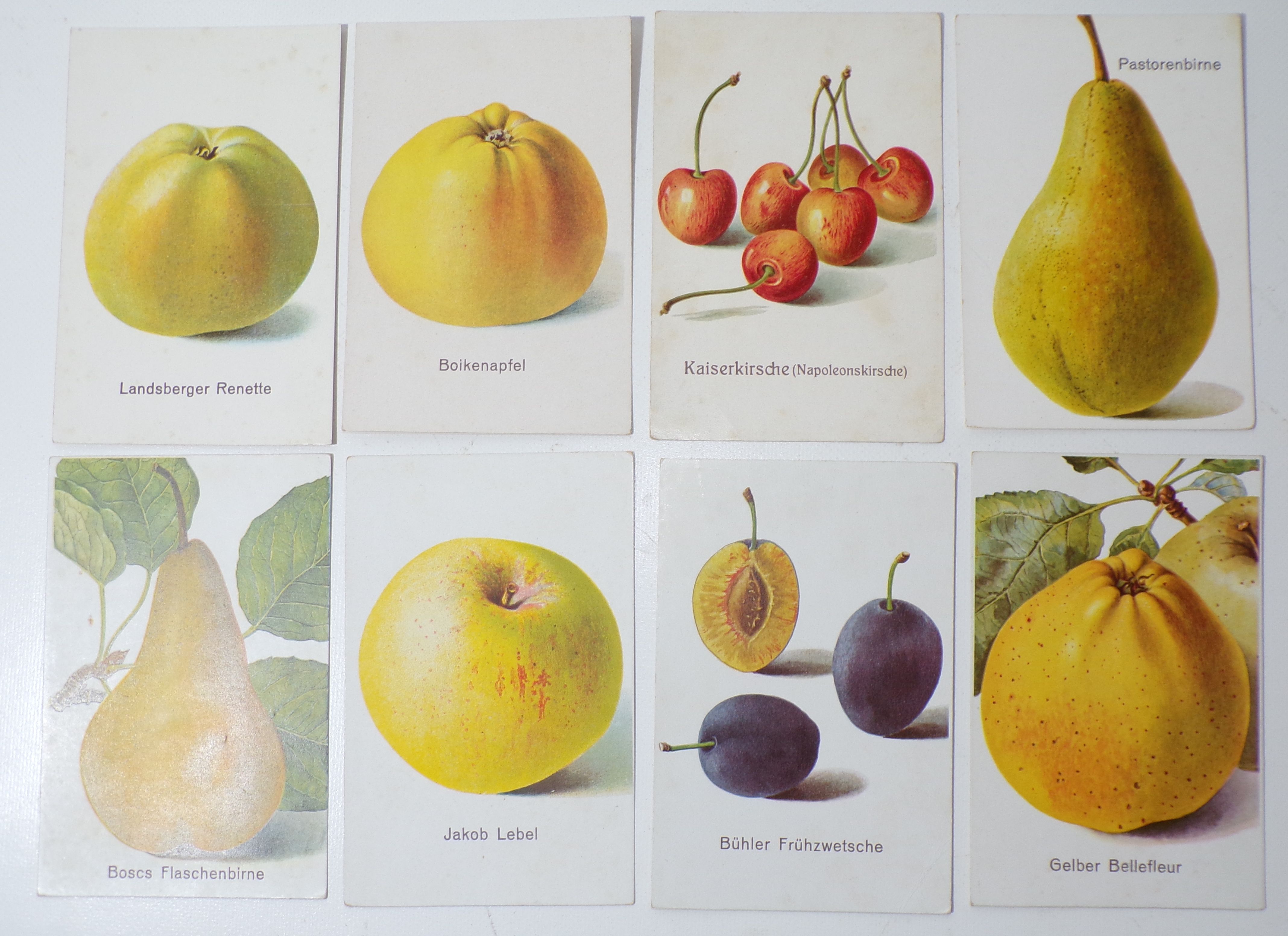 Ak Obstsorten Birnen Äpfel Pflaume Kirsche Pomologie 1920er 10 St Postkarten