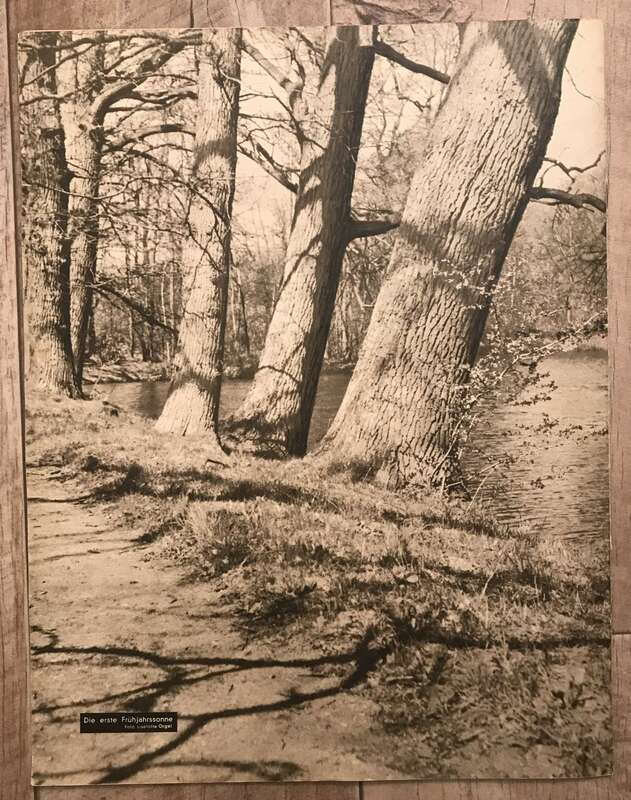 Illustrierte Rundschau verschiedene Ausgaben 1949 Zeitschrift