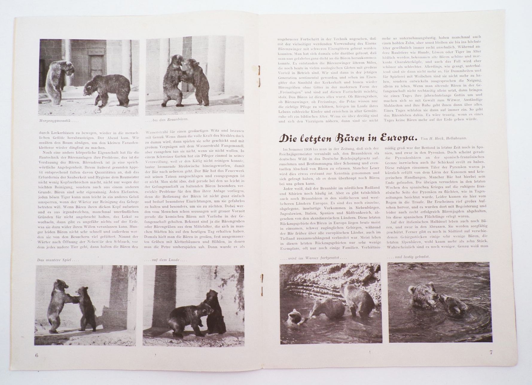 Das Tier und Wir Januar 1940 Monatsschrift für alle Tierfreunde München Eisbär
