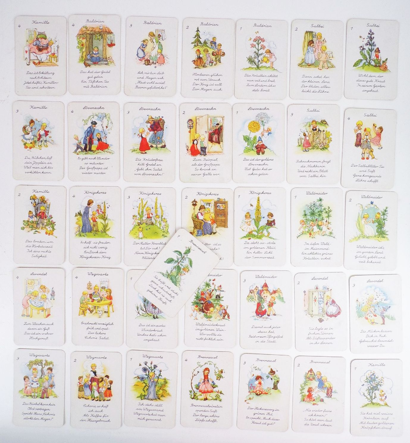 Heilkräuter Quartett Liesel Lauterborn Spielkartenfabrik Altenburg altes Kartenspiel