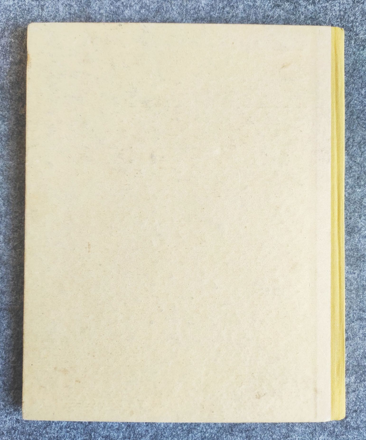 A E Breuer Lustige Märchen altes Buch Vogel und Frosch A E Breuer Lustige Märchen altes Buch Vogel und Frosch