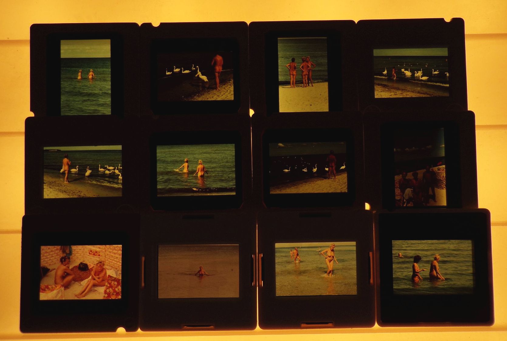 Dia Konvolut DDR Urlaub Ostsee Nackte Frauen Männer 