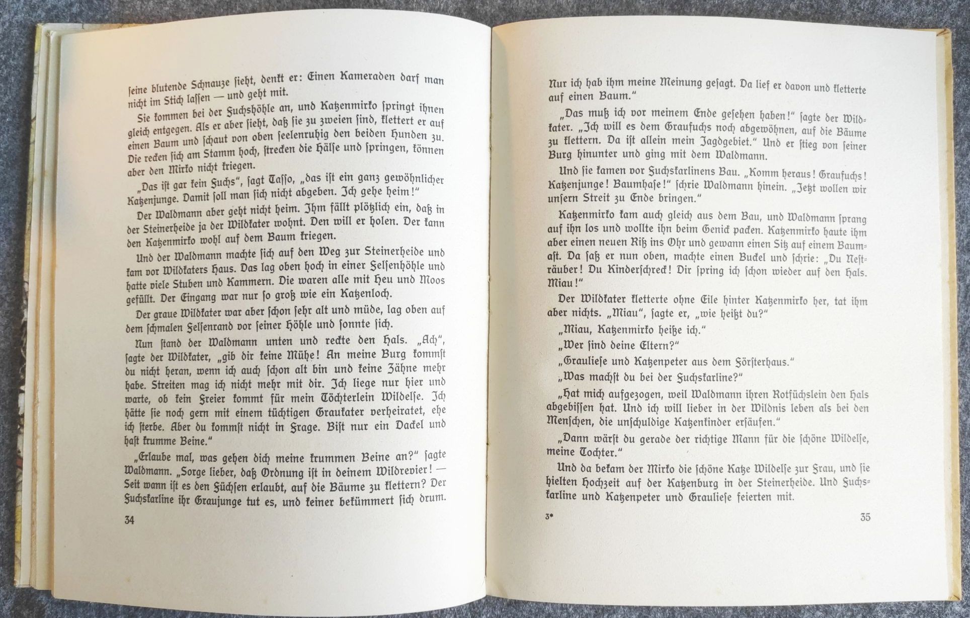 A E Breuer Lustige Märchen altes Buch Vogel und Frosch A E Breuer Lustige Märchen altes Buch Vogel und Frosch
