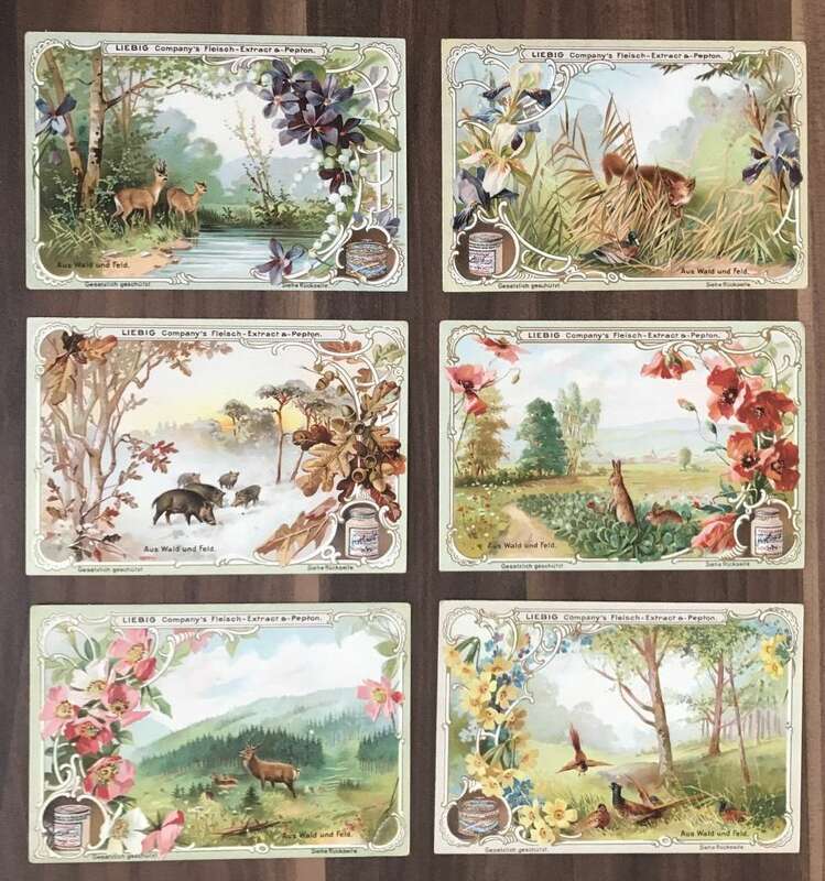 Nr 452 Liebig Sammelbilder Serie 6 Stück Aus dem Wald und Feld