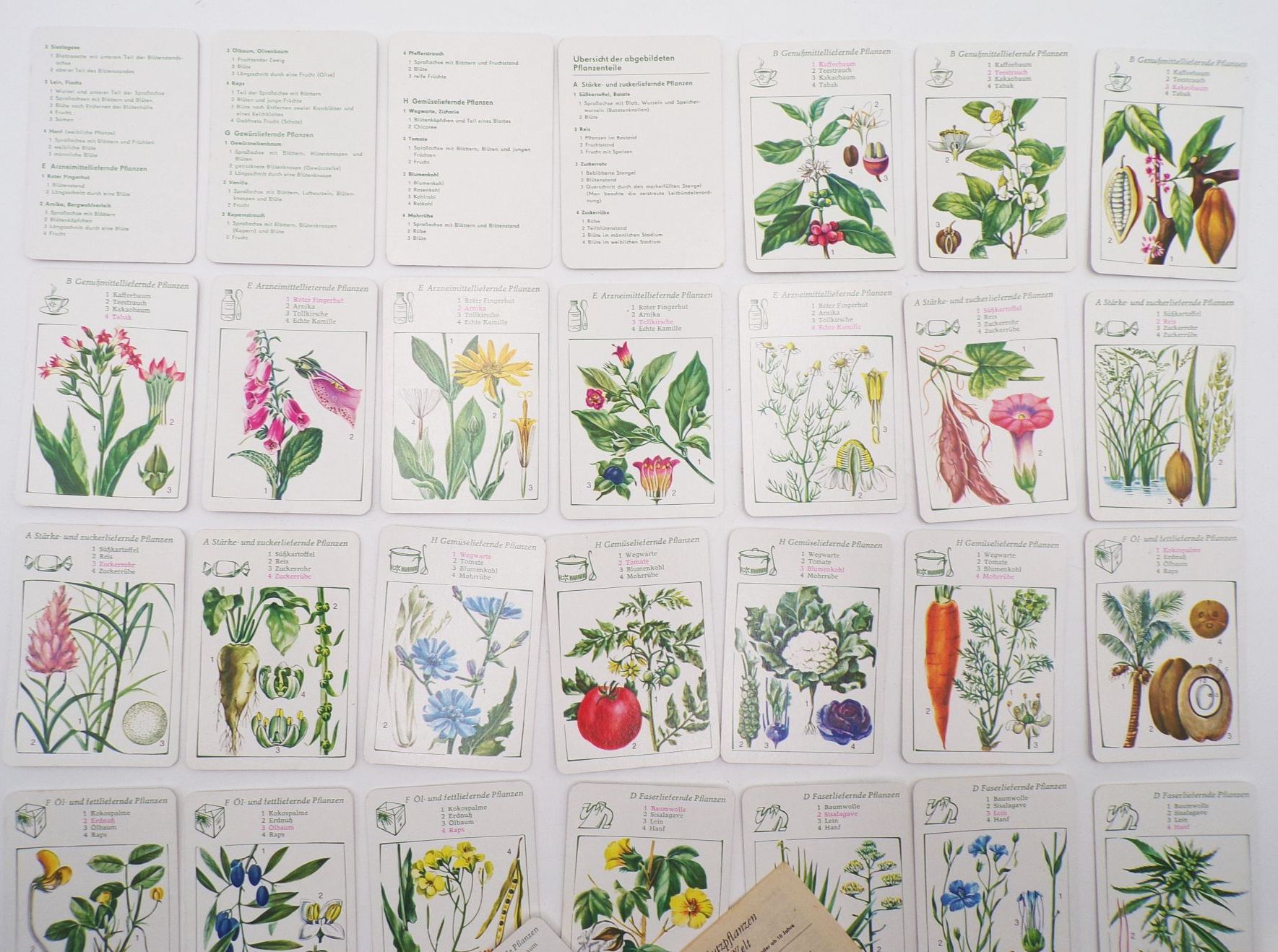 Nutzpflanzen aus aller Welt Quartettspiel DDR 1984 Kartenspiel