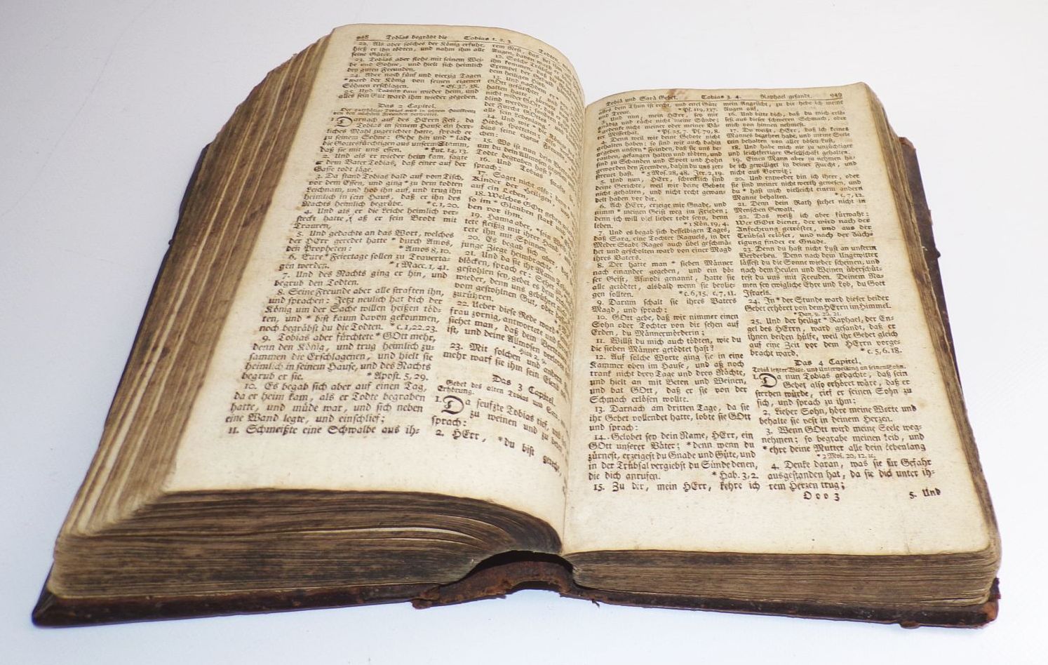 Die Bibel oder die ganze Heilige Schrift 1815 Luther Ledereinband 