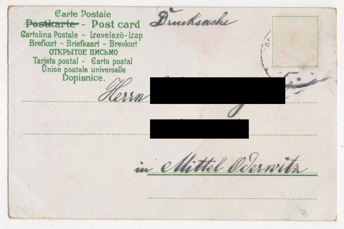 Litho Ak Katze als Postbote Prosit Neujahr um 1900 Litho Ak Katze als Postbote Prosit Neujahr um 1900