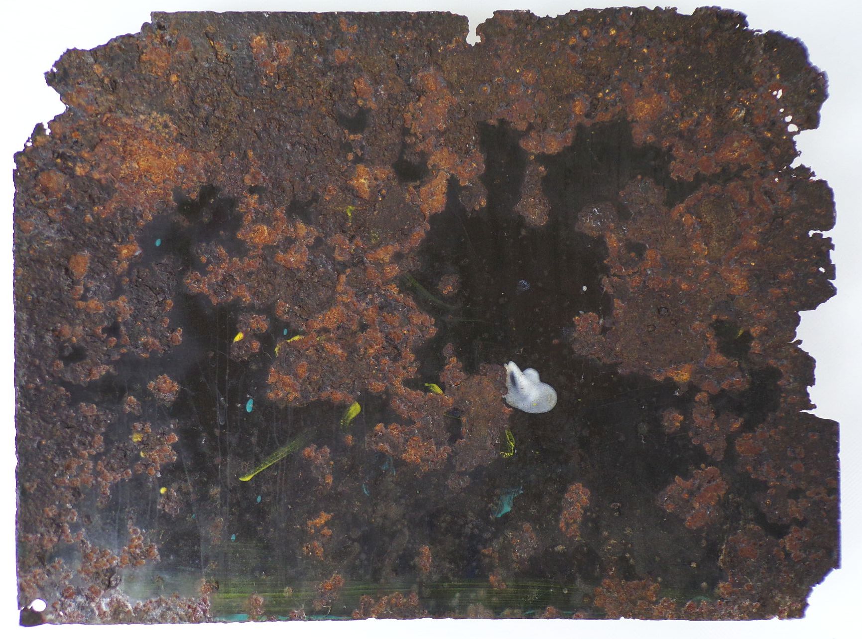 Altes Emailschild Rothenburger Lebensversicherung Görlitz um 1930 