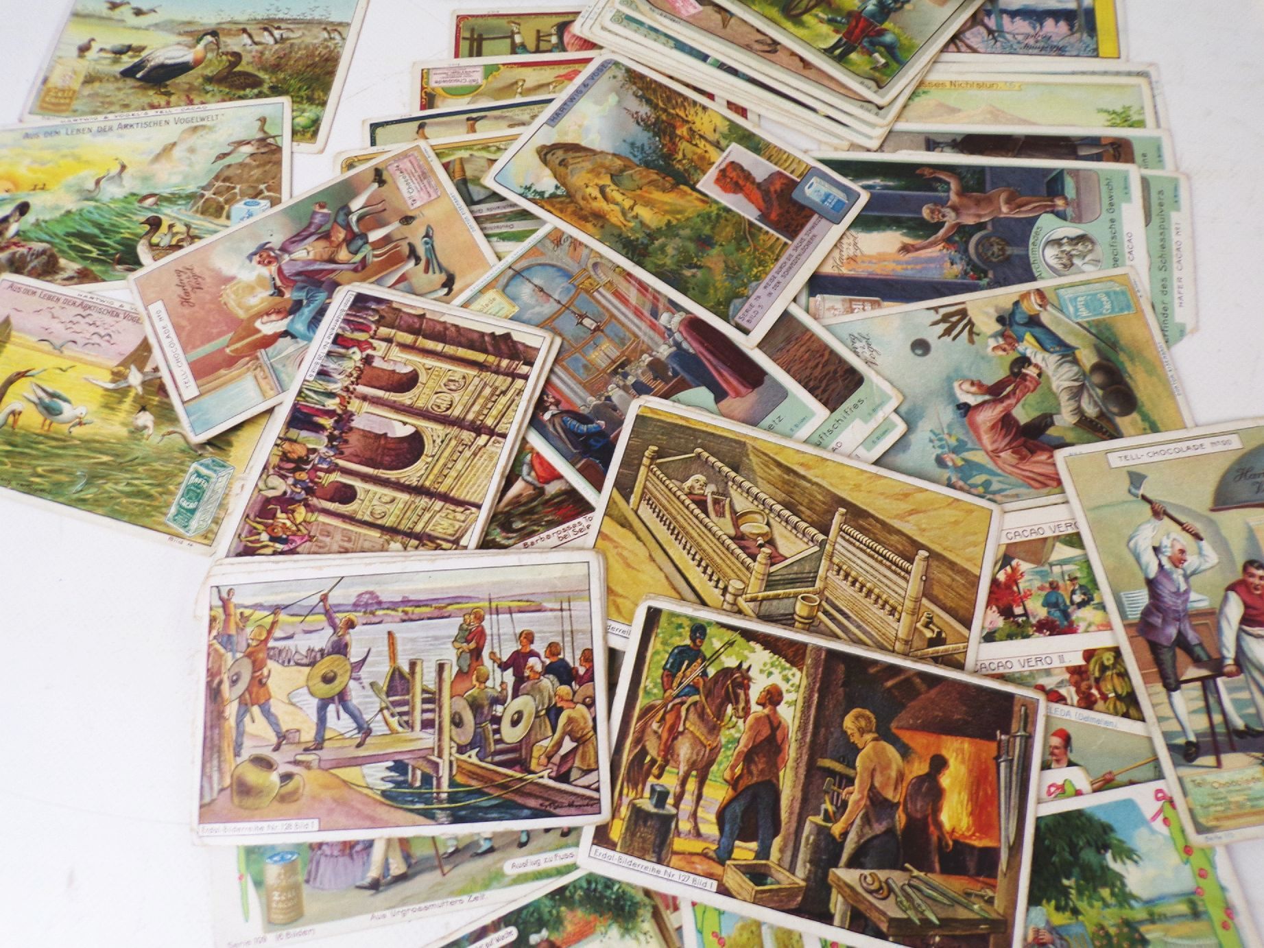 Konvolut alter Sammelbilder trading cards Hartwig Vogel Erdal Chlorodont Konvolut alter Sammelbilder trading cards Hartwig Vogel Erdal Chlorodont