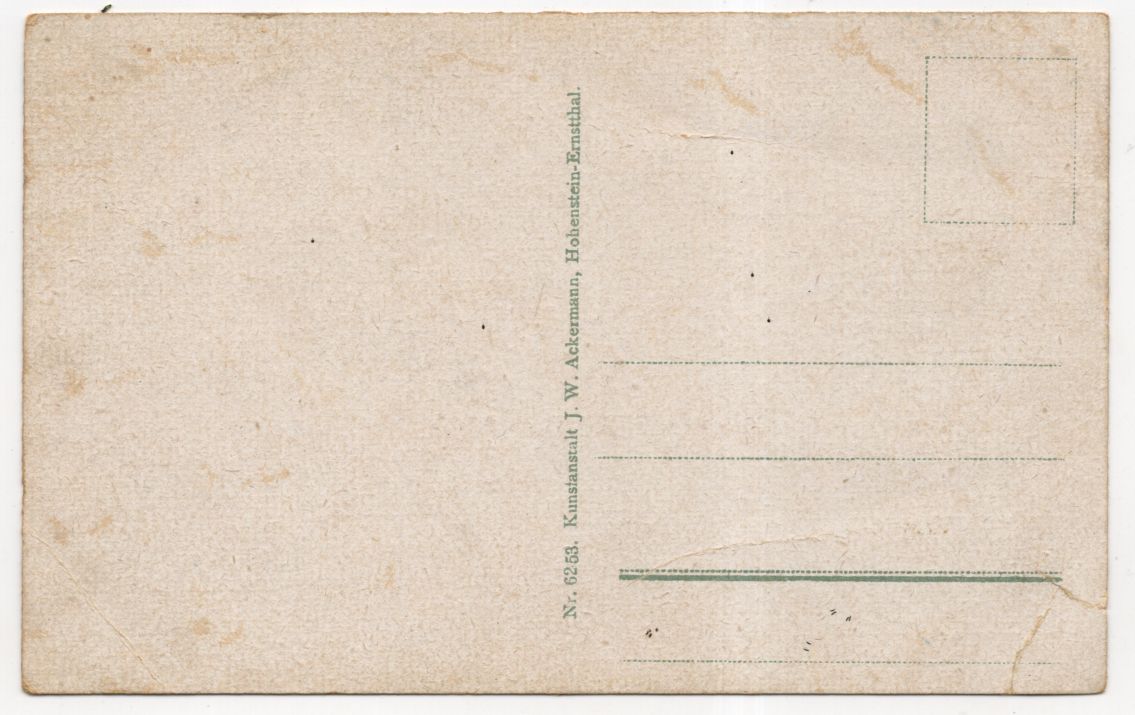 Ak Hohenstein Ernstthal Birkenallee mit Forsthaus Ak Hohenstein Ernstthal Birkenallee mit Forsthaus