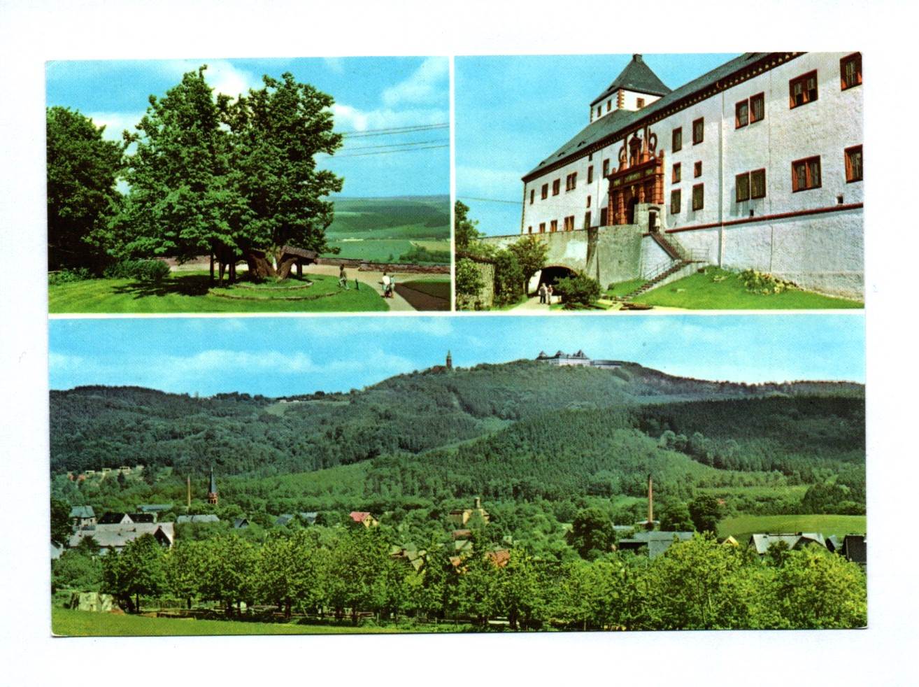 Ak Augustusburg Erzgebirge 1980 Schloßlinde Nordportal Ak Augustusburg Erzgebirge 1980 Schloßlinde Nordportal