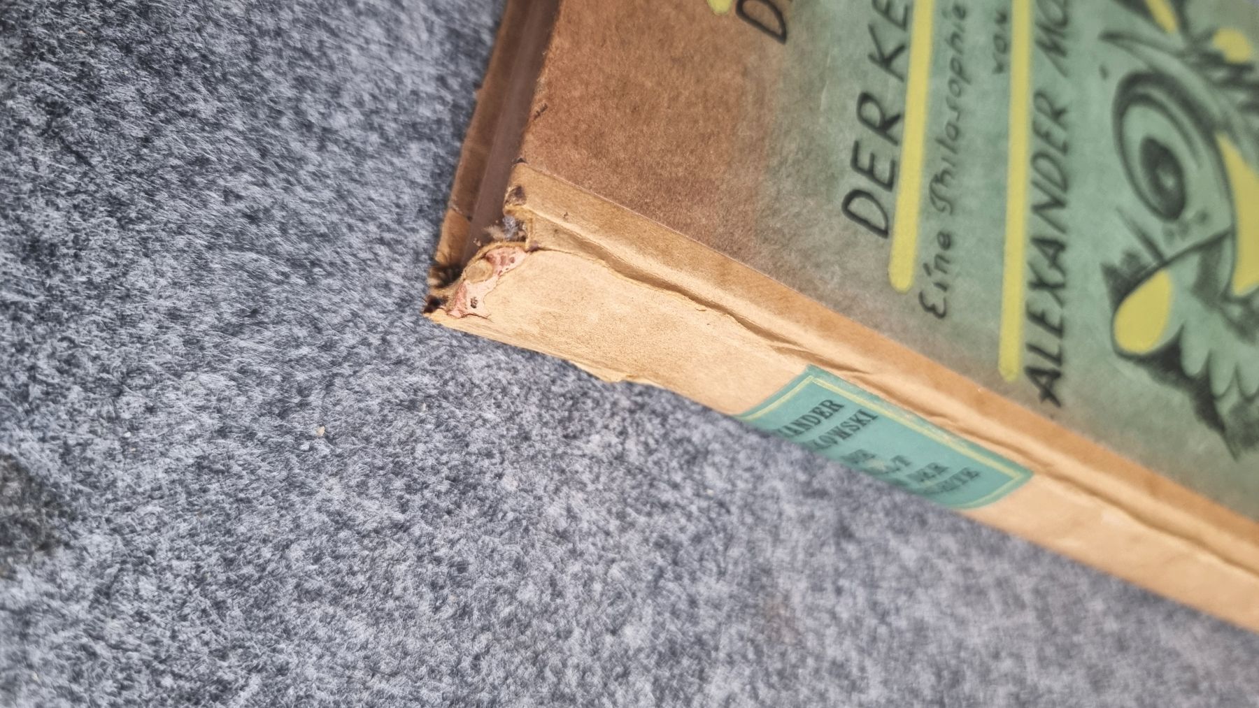 Die Welt von der Kehrseite Alexander Moszkowski 1920 altes Buch Die Welt von der Kehrseite Alexander Moszkowski 1920 altes Buch