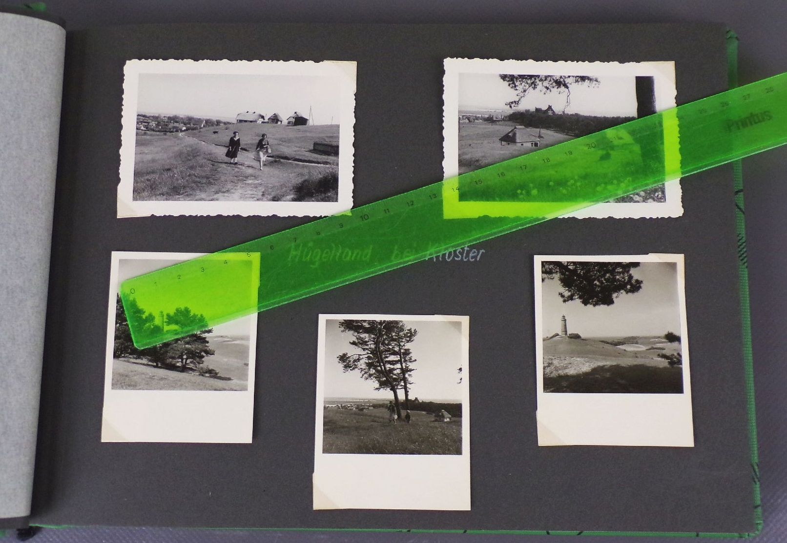 Fotoalbum Hiddensee Neuendorf Ostsee Urlaub 1958 Reitturnier Pirna Pferde Fotoalbum Hiddensee Neuendorf Ostsee Urlaub 1958 Reitturnier Pirna Pferde