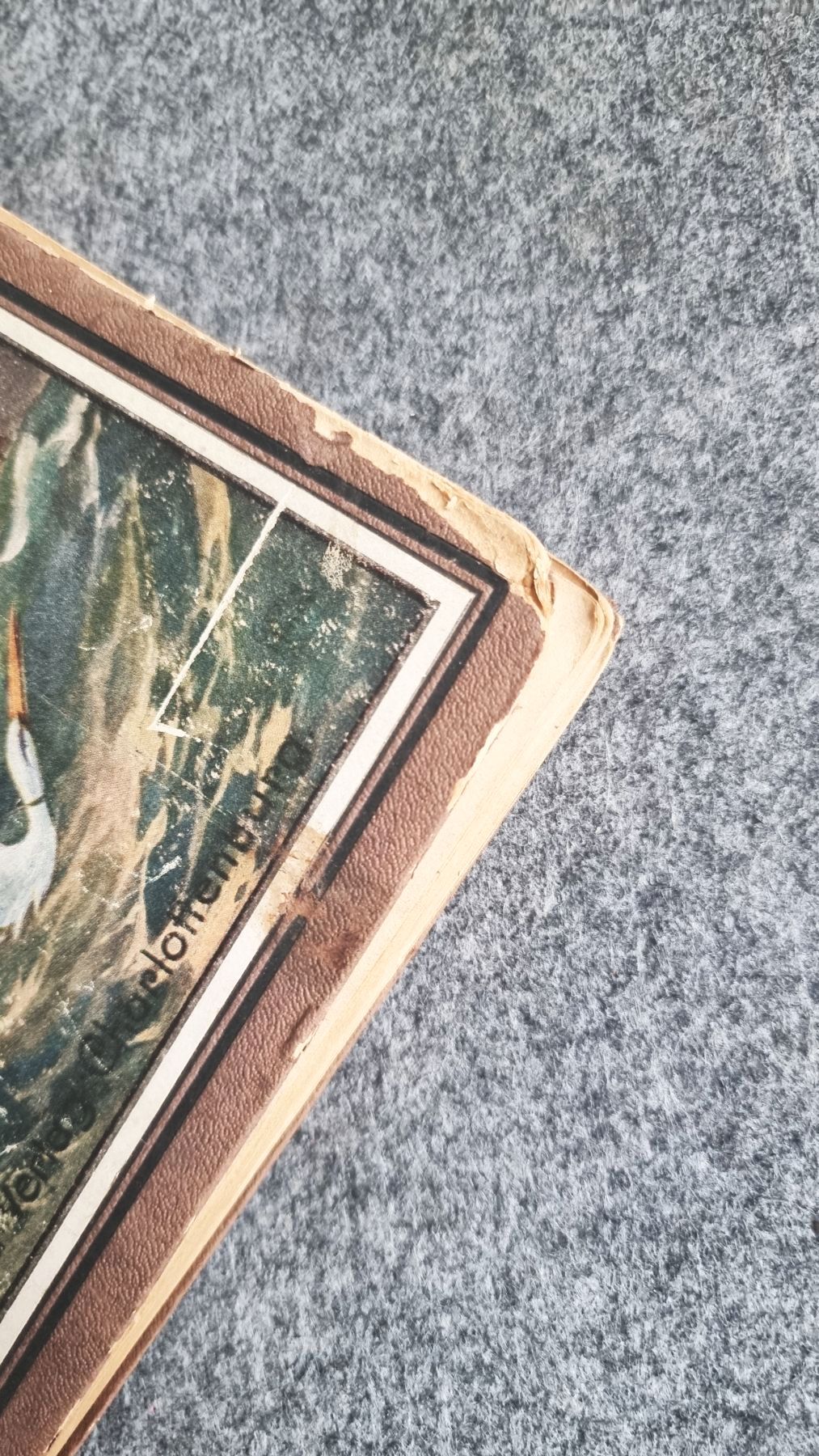 Karlchen Knirps Reisen und Abenteuer 2 Bände I und II 1922 alte Bücher Karlchen Knirps Reisen und Abenteuer 2 Bände I und II 1922 alte Bücher