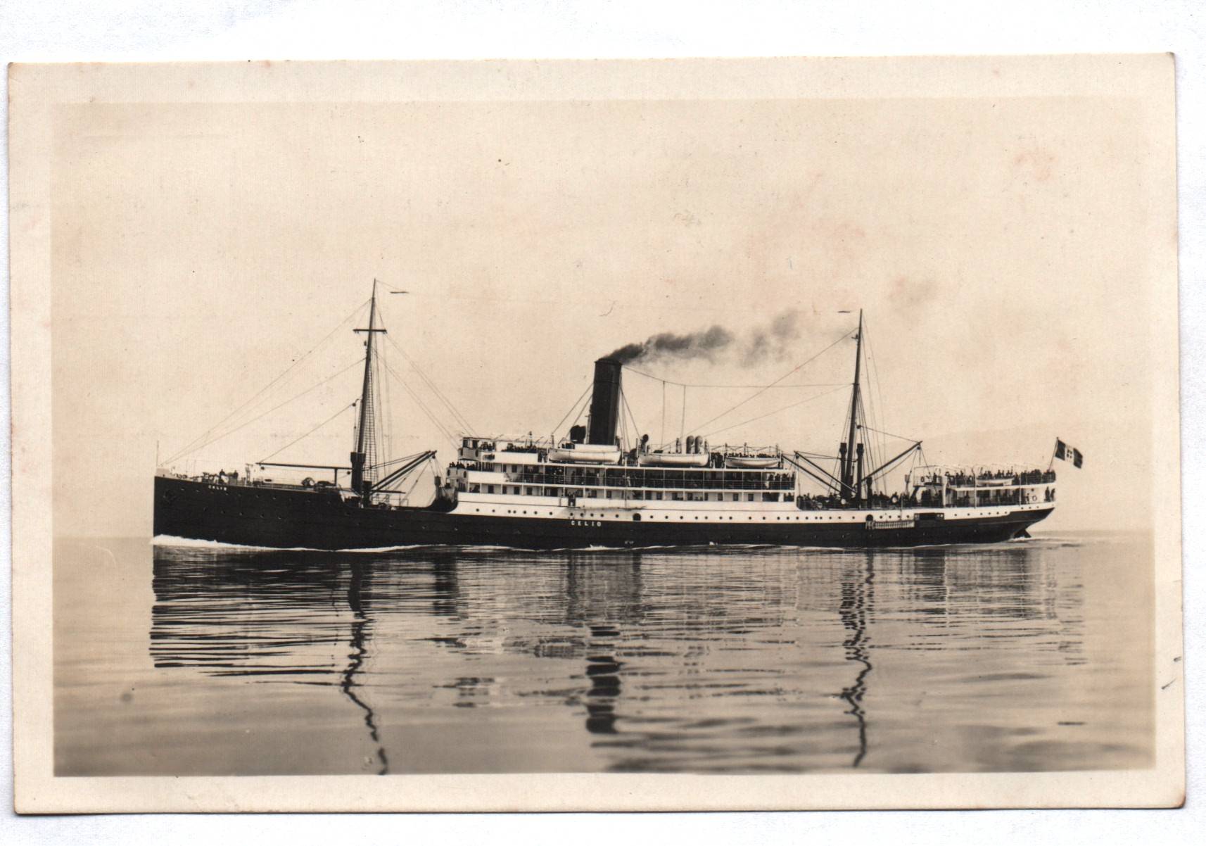 Ak Dampfer S S Celio Lloyd Triestino 