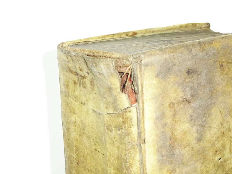 Reales Schul Lexicon M Benjamin Hederich 1731 Schweinsleder