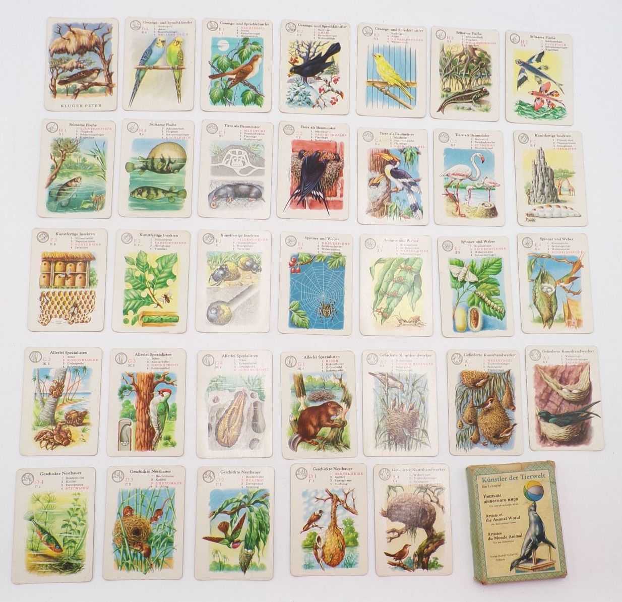 Altes Kartenspiel Künstler der Tierwelt Ein Lehrspiel Forkel Pößneck 1960 Altes Kartenspiel Künstler der Tierwelt Ein Lehrspiel Forkel Pößneck 1960