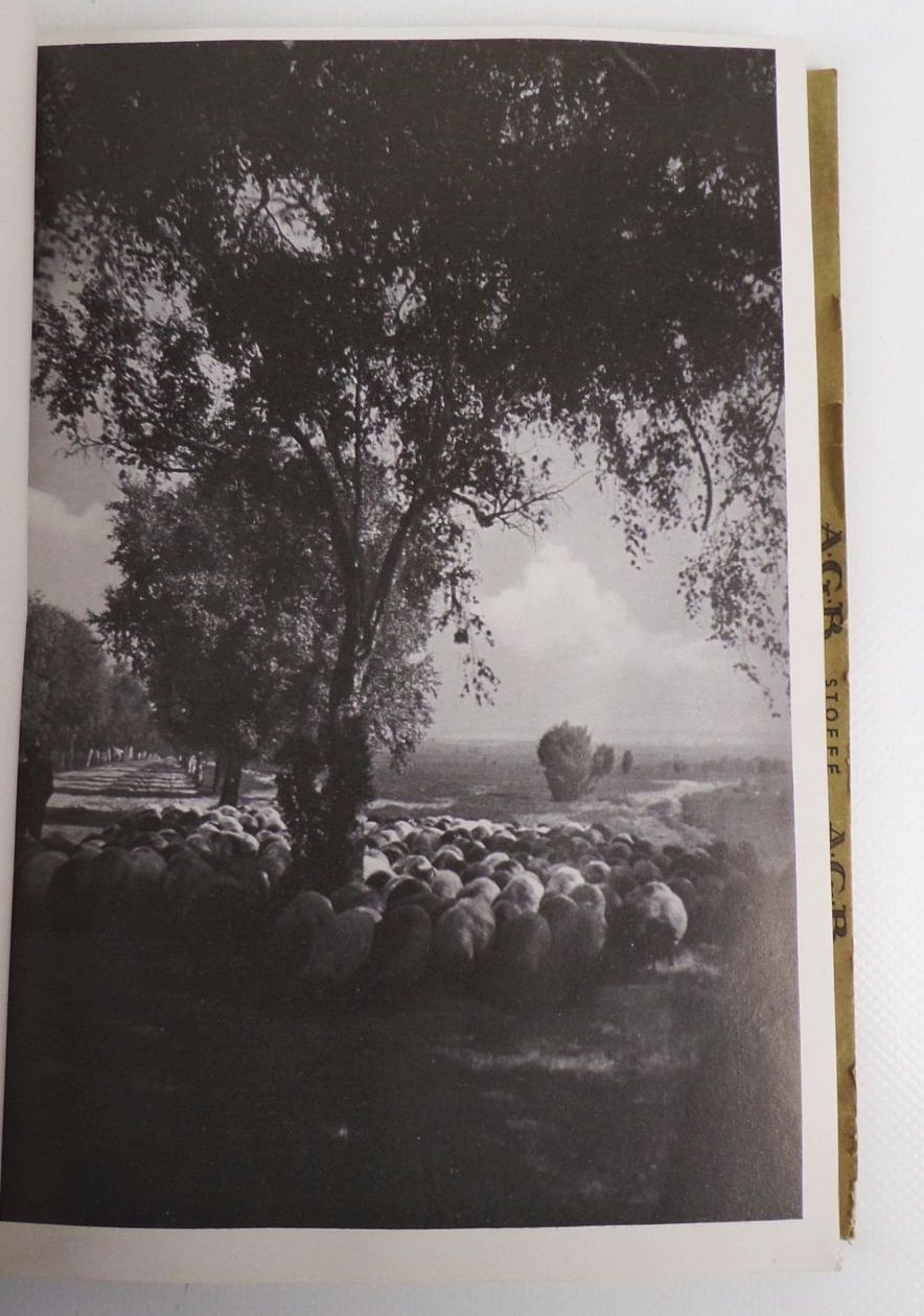 Grüne Woche Berlin 1937 Amtlicher Katalog und Führer Grüne Woche Berlin 1937 Amtlicher Katalog und Führer