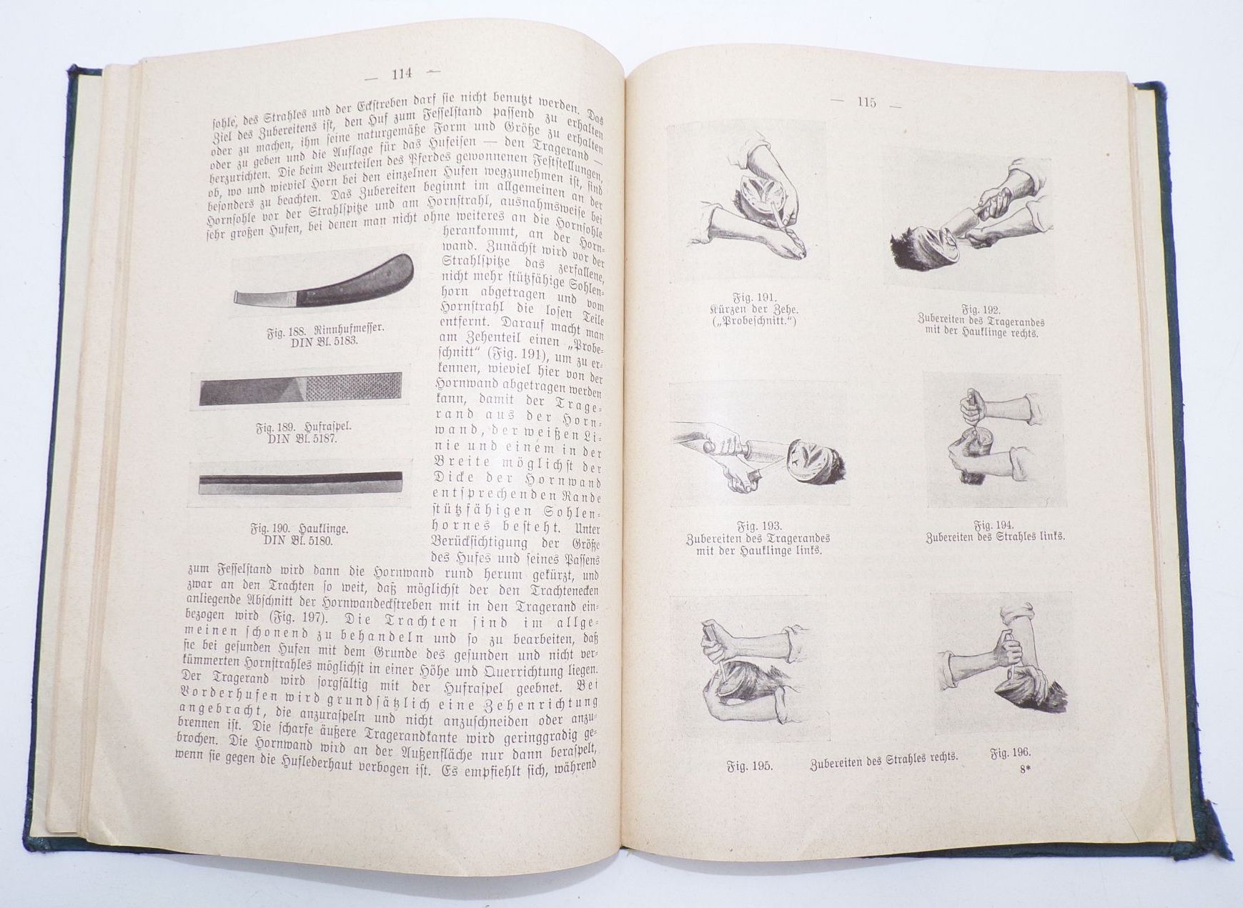 Handbuch des Hufbeschlages Theodor Bauer 1941 Buch Handbuch des Hufbeschlages Theodor Bauer 1941 Buch